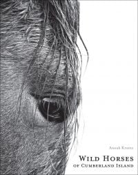 Book cover of Anouk Masson Krantz's Wild Horses of Cumberland Island, with close up of horses eye and damp front mane. Published by Images Publishing.