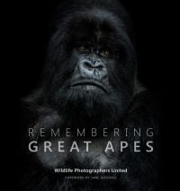 Book cover of Margot Raggett's Remembering Great Apes, with a gorilla. Published by Remembering Wildlife.