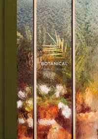 Book cover of Samuel Zeller's Botanical, Tales from the City, with colorful plants behind decorative glass. Published by Hoxton Mini Press.
