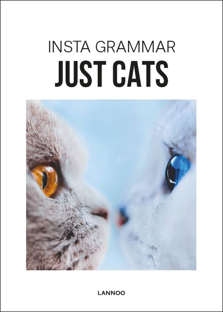 Nose to nose shot of brown cat with amber eyes and white cat with blue eyes, on white cover, 'Insta Grammar Just Cats, by Lannoo Publishers.