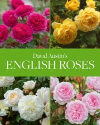 Four English roses in pink, yellow and cream, on cover of 'David Austin's English Roses', by ACC Art Books.