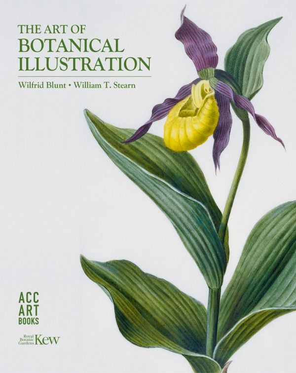 botanical illustration book free download