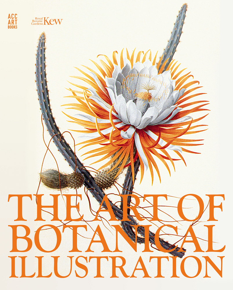 botanical illustration book free download