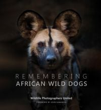 Book cover of Margot Raggett's Remembering African Wild Dogs, with a African wild dog staring in the distance. Published by Remembering Wildlife.