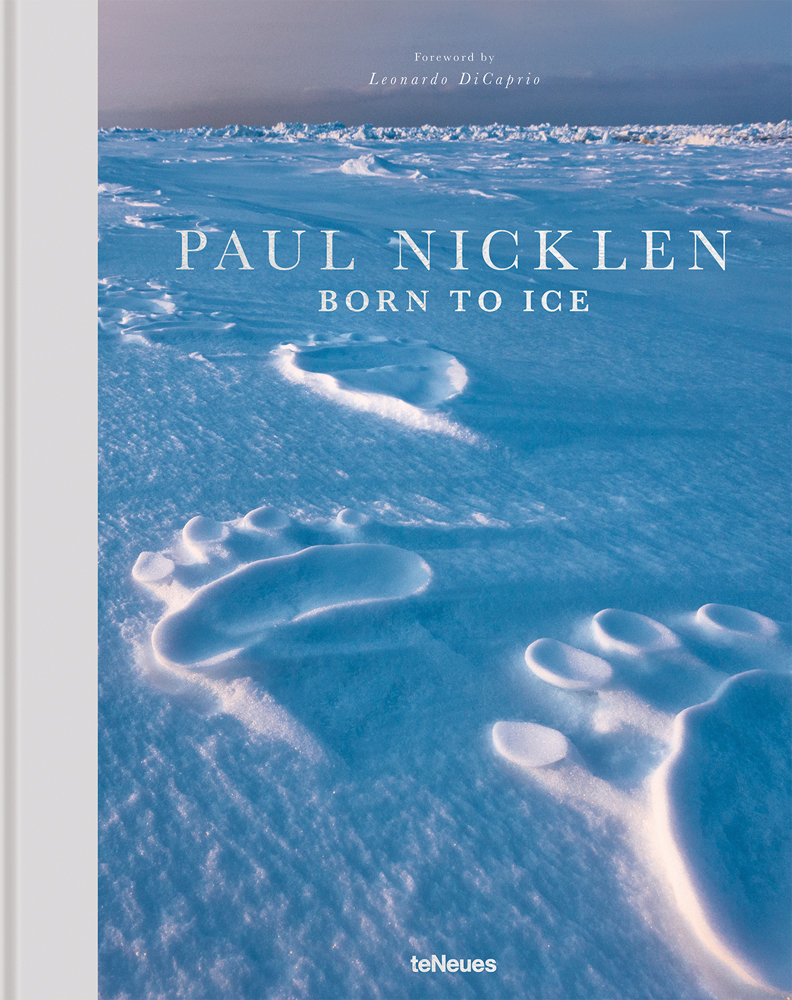 Large polar bear footprints in snow landscape, PAUL NICKLEN, BORN TO ICE, in white font above.
