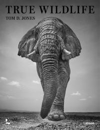 African bush elephant walking towards camera, on cover of 'True Wildlife', by Lannoo Publishers.
