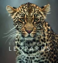 Book cover of Margot Raggett's Remembering Leopards, with a leopard. Published by Remembering Wildlife.