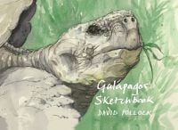 Watercolor of head of large tortoise, on landscape cover of 'A Galápagos Sketchbook' by Pallas Athene.