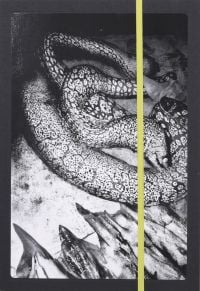 Book cover of Anders Petersen's Napoli, with a snake-like reptile. Published by L'Artiere.