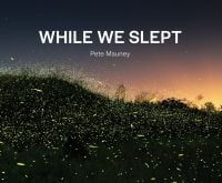 Book cover of While We Slept, with a hundreds of fireflies moving across a dark landscape. Published by ORO Editions.