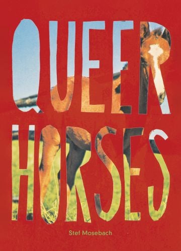 Book cover of Stef Mosebach's Queer Horses, with a foal behind a stenciled title. Published by Verlag Kettler.