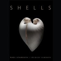 Book cover of Shells, with a Meiocardia moltkiana. Published by 5 Continents Editions.