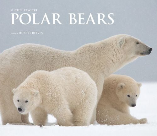 Polar Bears