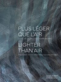 Book cover of Plus léger que l'air - Lighter than air, with pieces of thin silk suspended from above. Published by 5 Continents Editions.