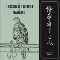 An Illustrated Mirror of Hawking