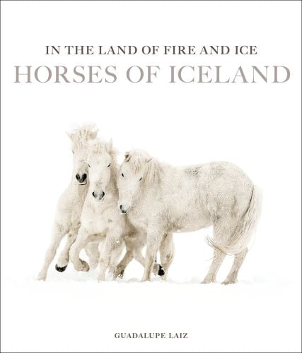 In the Land of Fire and Ice