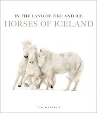 In the Land of Fire and Ice