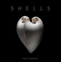 Book cover of Shells, with a Meiocardia moltkiana. Published by 5 Continents Editions.