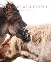 Horses of Iceland