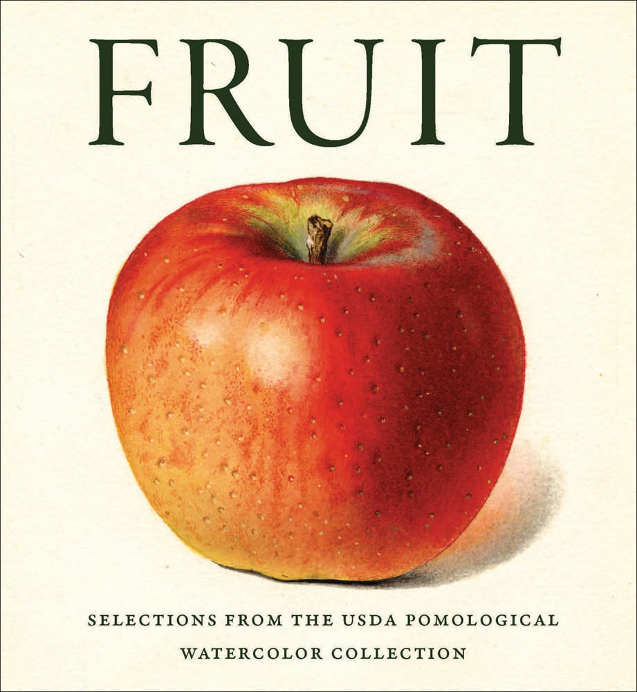 Book cover of Fruit: Selections from the USDA Pomological Watercolor Collection, with a watercolour of red and yellow apple with stalk. Published by Abbeville Press.