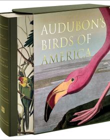 Luxury slipcase cover of Audubon’s Birds of America, Baby Elephant Folio', with a painting of head and foot of pink flamingo. Published by Abbeville Press.