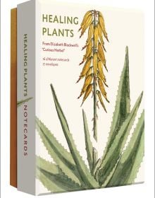 Notecard box of Healing Plants Detailed Notecard Set, featuring a yellow Aloe succotrina, from Elizabeth Blackwell's 