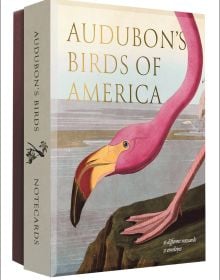 Audubon's Birds of America