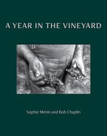 Book cover of A Year in the Vineyard with worker holding secateurs and a bunch of grapes. Published by Cultureshock.