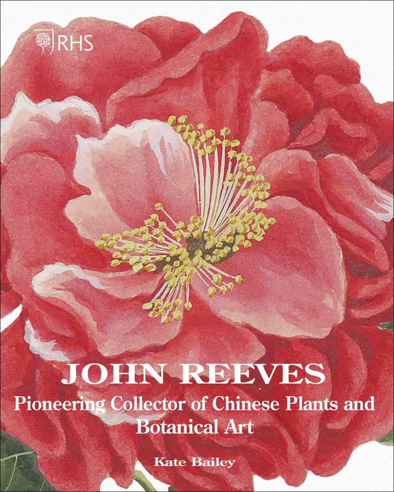 Book cover of John Reeves Pioneering Collector of Chinese Plants and Botanical Art, with a botanical painting of pink rose. Published by ACC Art Books.