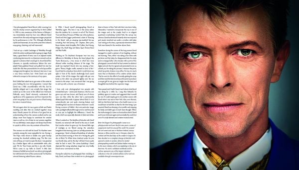 david bowie icon book review