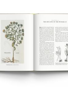 Book cover of The Art of Botanical Illustration, featuring a night blooming cactus flower with white and orange petals. Published by ACC Art Books.