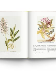 Book cover of The Art of Botanical Illustration, featuring a night blooming cactus flower with white and orange petals. Published by ACC Art Books.