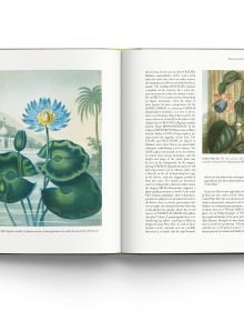 Book cover of The Art of Botanical Illustration, featuring a night blooming cactus flower with white and orange petals. Published by ACC Art Books.