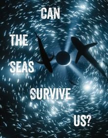 Book cover of Can the Seas Survive Us? with the sea full of fish and two sharks. Published by Kulturalis.