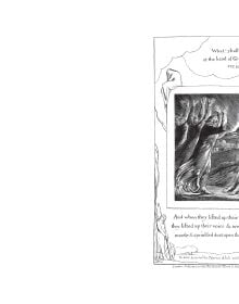 Black book cover of Illustrations of the Book of Job, featuring an engraving of mythical beasts engraving by William Blake. Published by Pallas Athene.