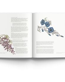 Small diamond encrusted jewelry piece with three larger gemstones, on cover of '21st-Century Jewellery Designers An Inspired Style', by ACC Art Books.