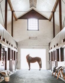 Book cover of American Equestrian Design Barns, Farms, and Stables by Blackburn Architects, with horse stable entrance. Published by Images Publishing.