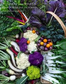 Cover of swiss chard, courgettes, apples, tomatoes, garlic, green beans, calendula, avocados, Urban Homesteads in white font