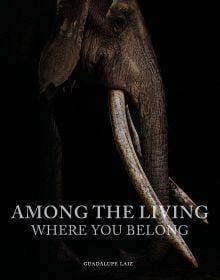 Book cover of Among the Living, Where You Belong, with a side profile of African elephant with long tusks. Published by Images Publishing.