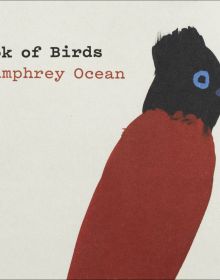 Naïve painting of long beaked bird with black head and red body, white cover, A Book of Birds by Humphrey Ocean in yellow font to upper left.