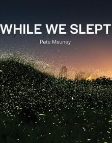 Book cover of While We Slept, with a hundreds of fireflies moving across a dark landscape. Published by ORO Editions.