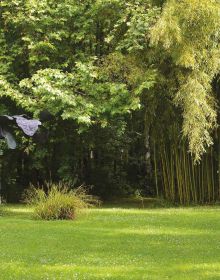 Sculpture of male figure with hand on face, surrounded by green garden foliage, on cover of 'La Petite Escalère, Garden of the Haims', by Editions Norma.