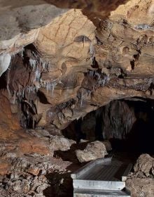 Chauvet Cave