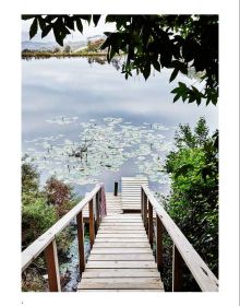 Modern building with flat roof surrounded by long green grass, on white cover of 'Paradise Found, Exceptional Homes in Extraordinary Places', by Beta-Plus.