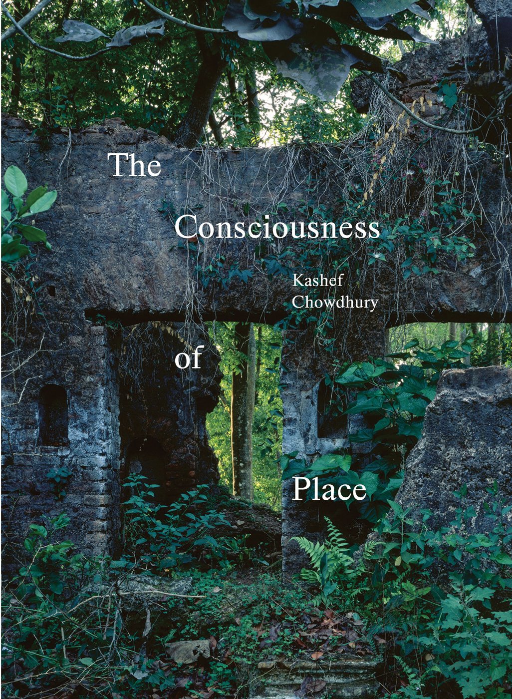 The Consciousness of Place - ACC Art Books US