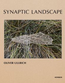 Synaptic Landscape: Oliver Ullrich