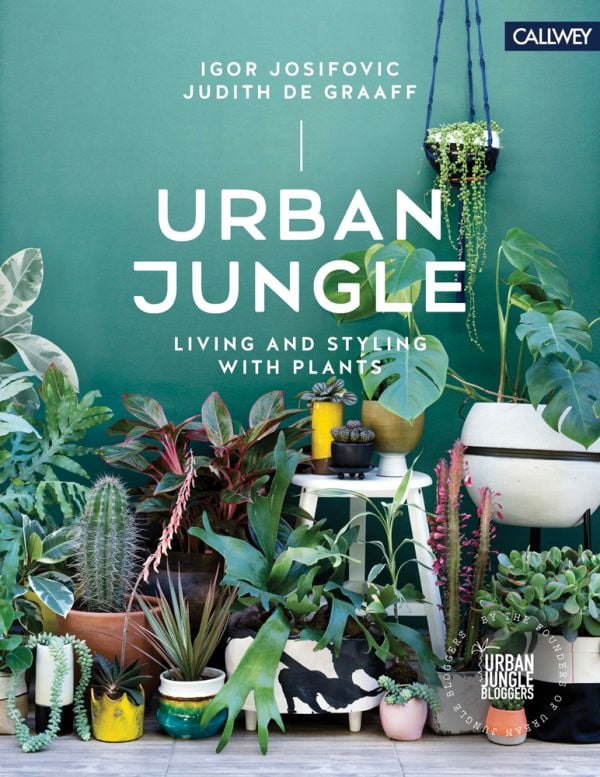 Urban Jungle: o que é e como criar em casa