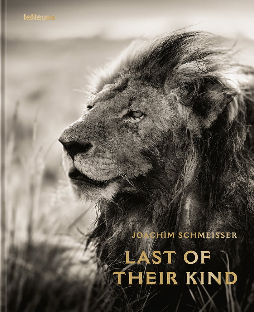 Book cover of Last of Their Kind, featuring a striking portrait of an African lion looking across landscape. Published by teNeues Books.