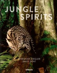 Book cover of Jungle Spirits, featuring a leopard resting at the bottom of tree. Published by teNeues Books.