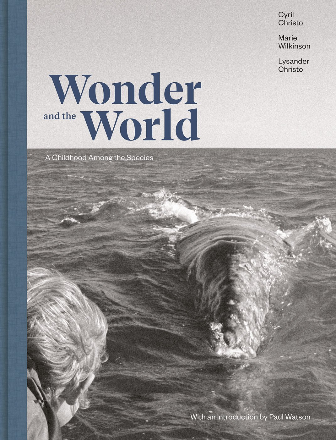 Wonder and the World - ACC Art Books US